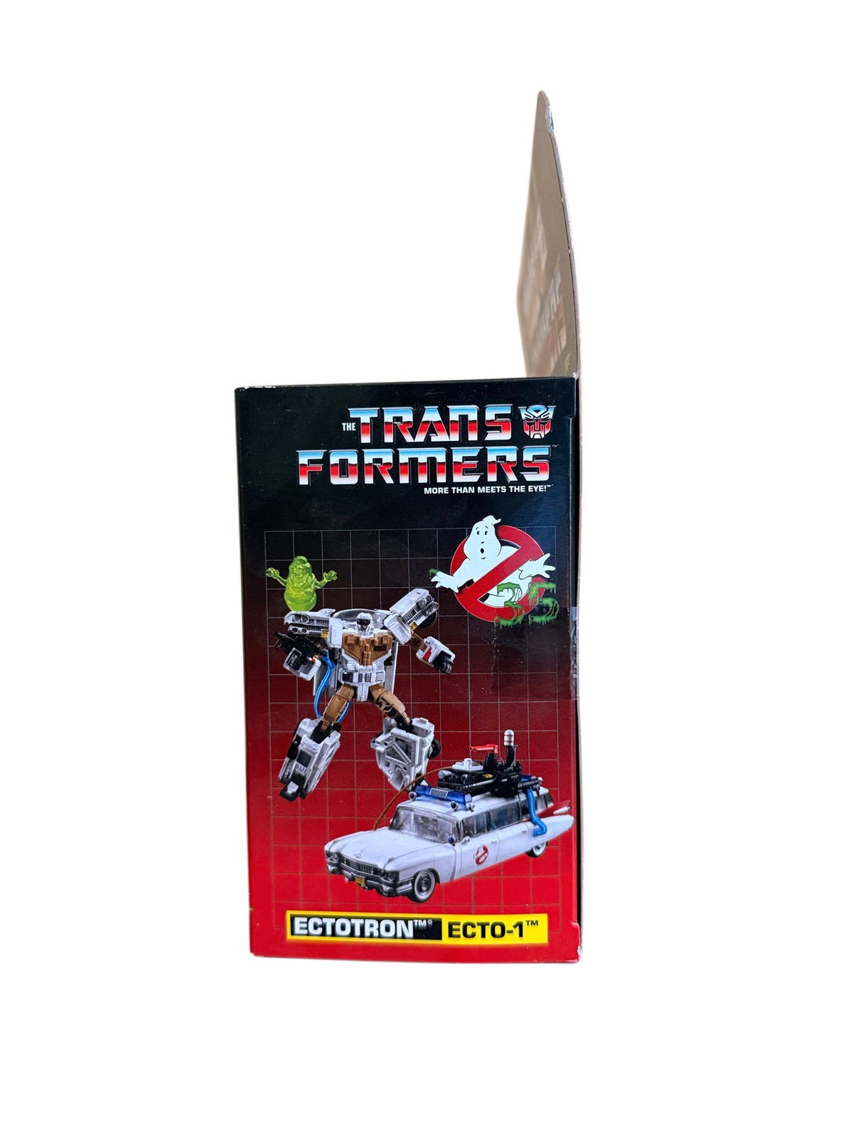 Ectotron packaging, side view